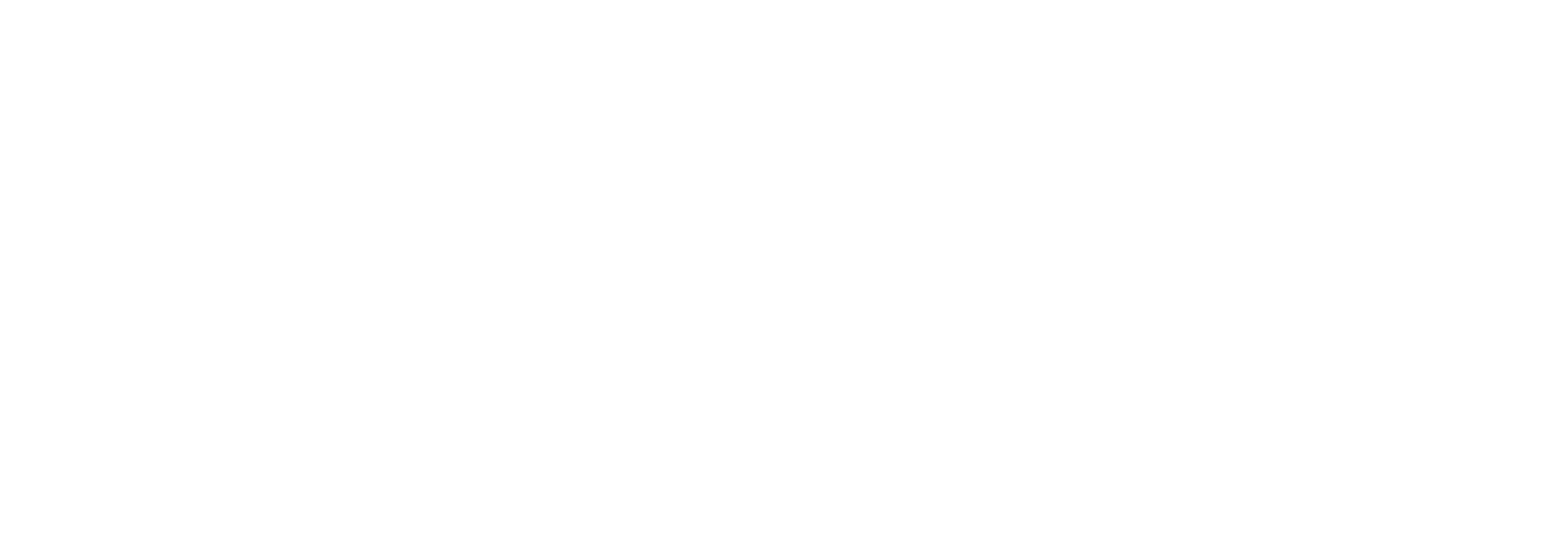 Kidney Intelligence